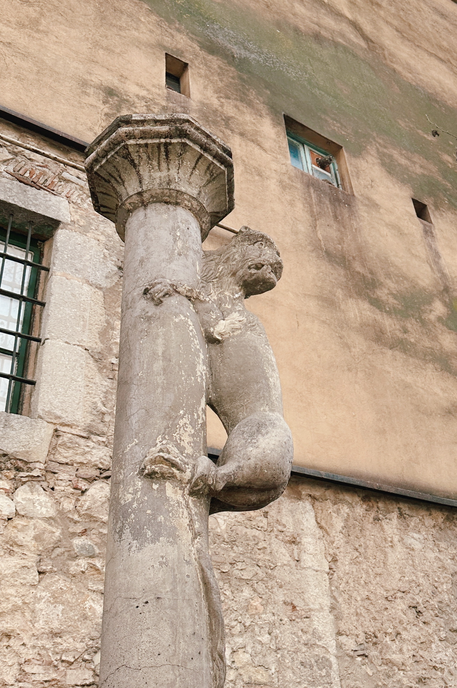 Foto cul de la lleona a Girona