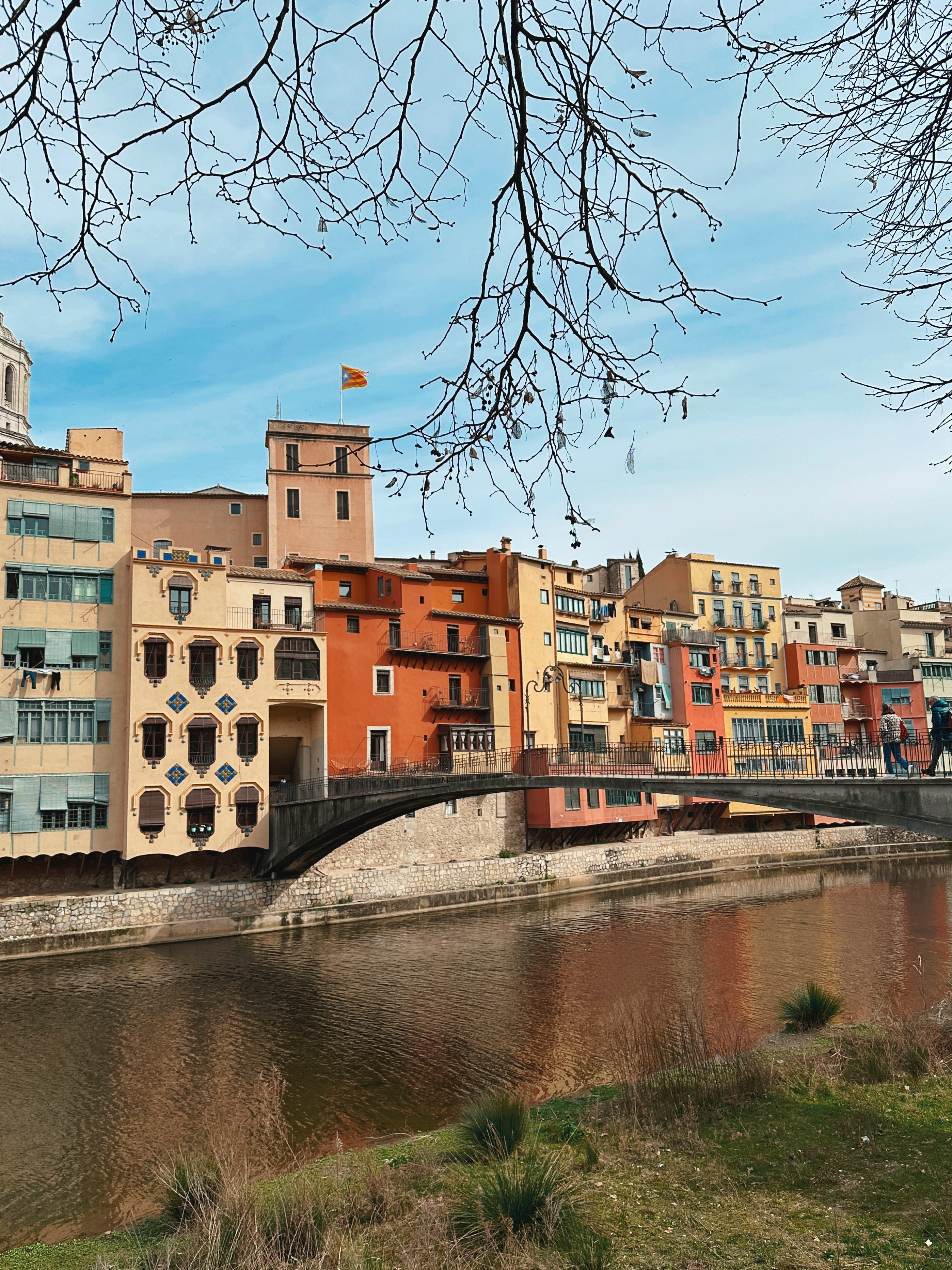 Foto cul de la lleona a Girona