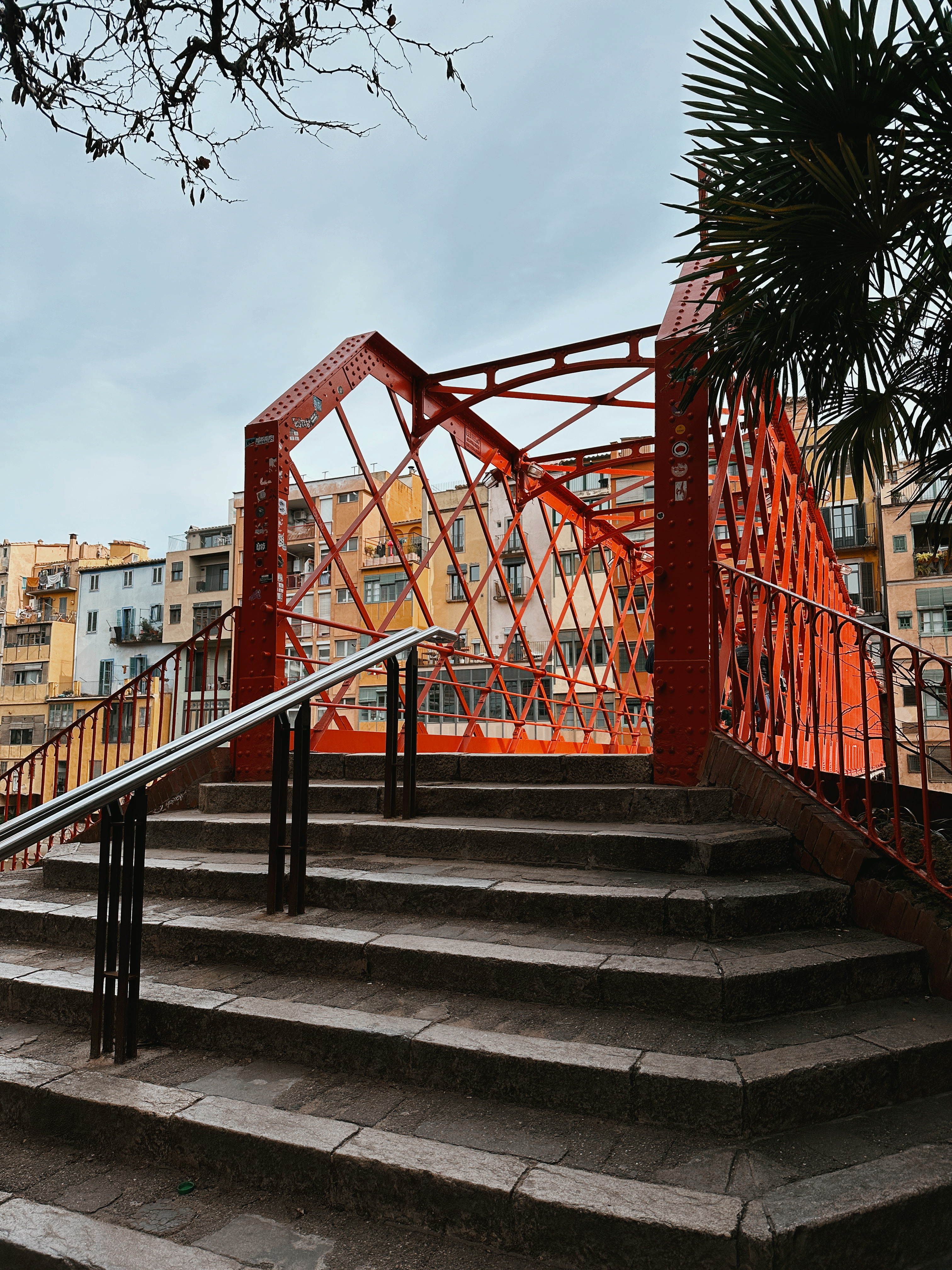 Foto cul de la lleona a Girona